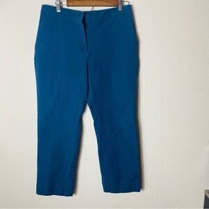 Ann Taylor Factory Chino Pants Womens Blue Straight Leg Size:10